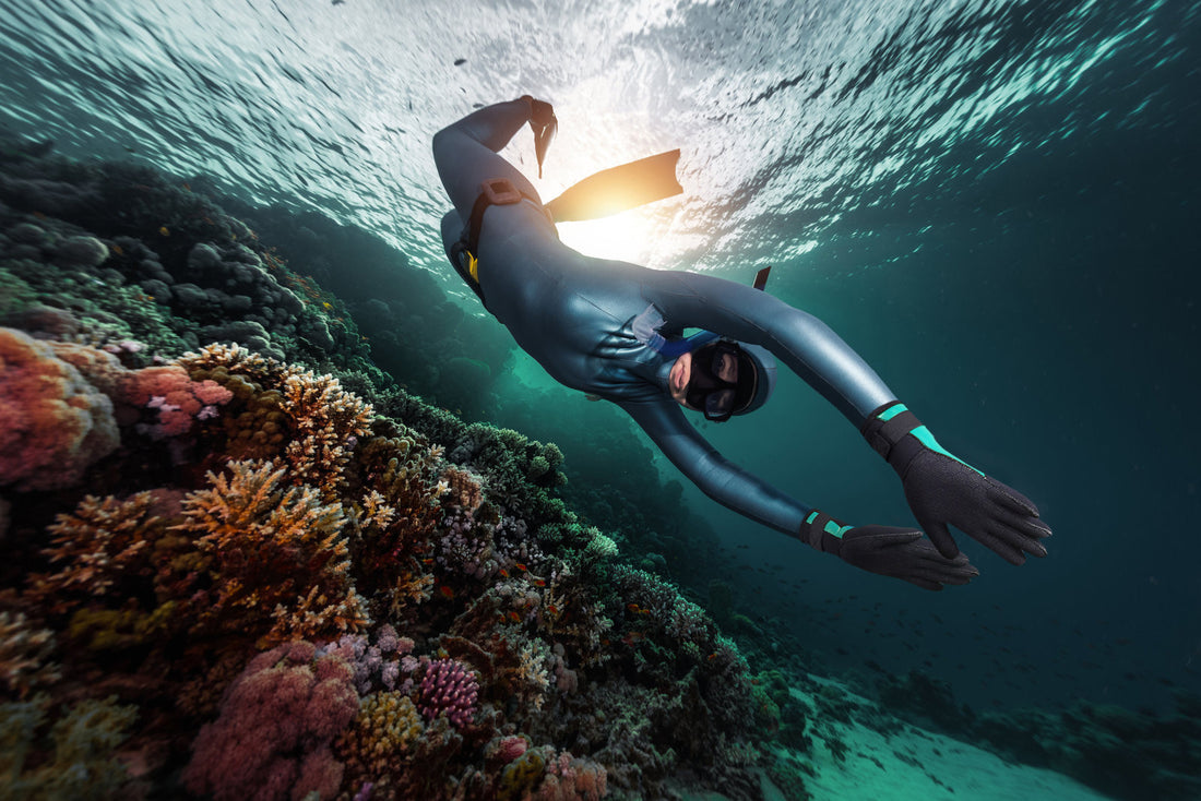 Scuba Dive