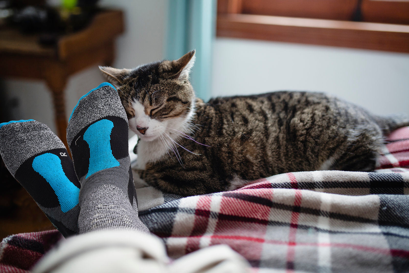 Men's socks