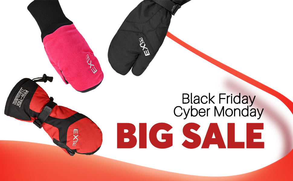 Black Friday Promotion